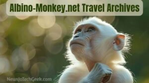 Albino-Monkey.net Travel Archives