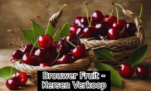 brouwer fruit - kersen verkoop