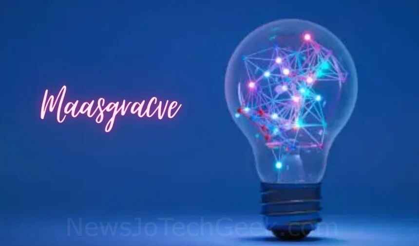 Maasgracve: An In-Depth Exploration of Its Significance and Evolution