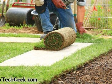 Myrtle Beach Lawn Care