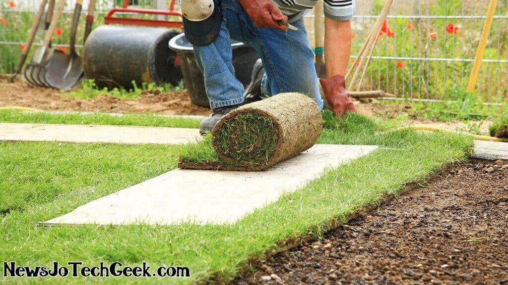 Myrtle Beach Lawn Care: Maintaining a Lush Lawn by the Coast