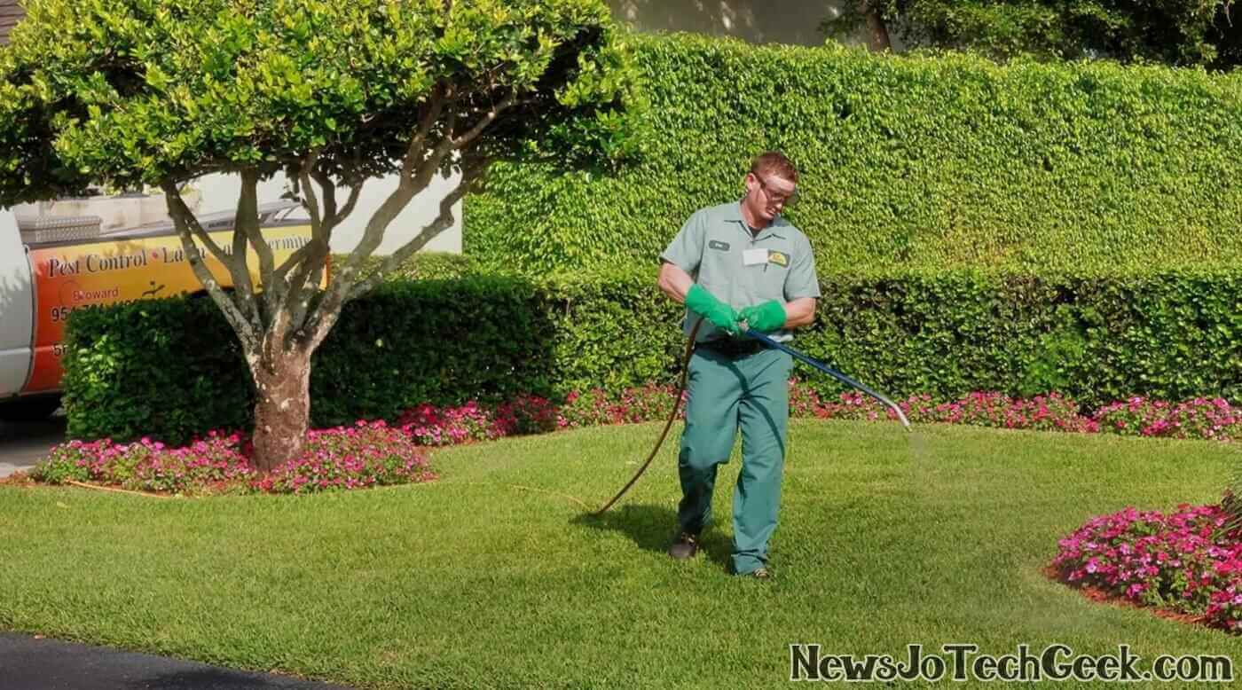 How To Keep Your Christmas Pest-Free