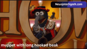 Muppet with Long Hooked Beak