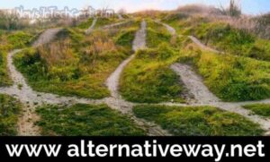 www AlternativeWay.net