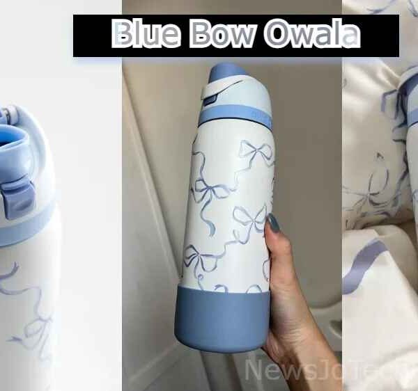 Blue Bow Owala: