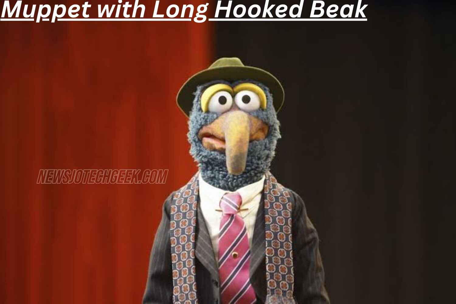 Meet the Muppet with a Long, Hooked Beak