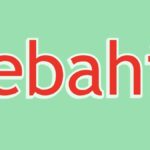 Rebahin Review 2025