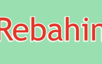 Rebahin Review 2025