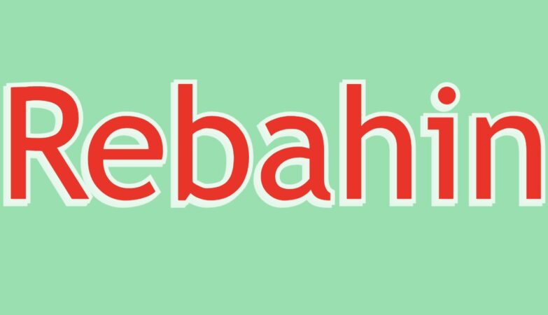 Rebahin Review 2025